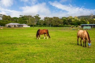 1376 Bolong Road Coolangatta NSW 2535 - Image 1