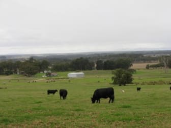 397 Meanwood Road Kronkup WA 6330 - Image 1