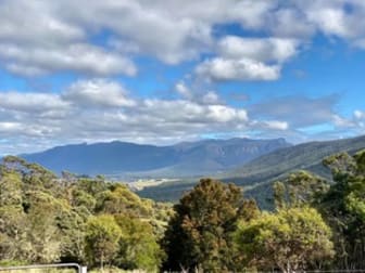56 Miles Road Mole Creek TAS 7304 - Image 2