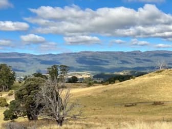 56 Miles Road Mole Creek TAS 7304 - Image 3