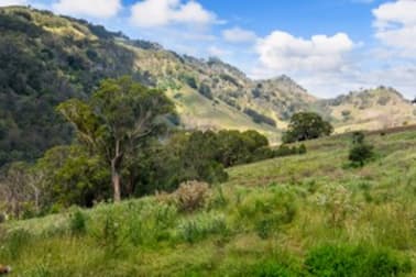 Lot 22 (lot 22) Warlands Creek Road Blandford NSW 2338 - Image 2