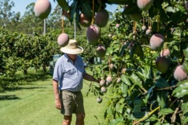 1411 Gatton Esk Road Spring Creek QLD 4343 - Image 2