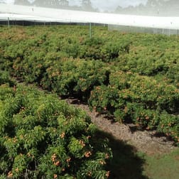 Goomboorian QLD 4570 - Image 3