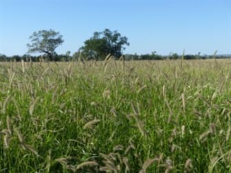 . 'Bymount' Roma QLD 4455 - Image 1