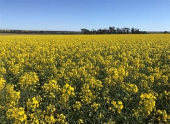 Lot 617 Nambling North Road Dowerin WA 6461 - Image 1