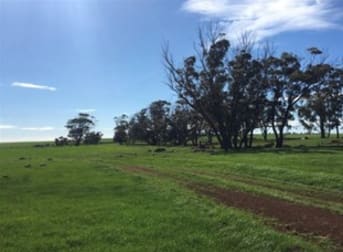 Lot 617 Nambling North Road Dowerin WA 6461 - Image 3