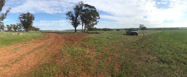 Lot 617 Nambling North Road Dowerin WA 6461 - Image 2
