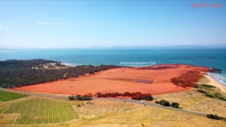 12868 Tasman Highway Swansea TAS 7190 - Image 1