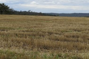 2400 Oregon Road Balfours Peak NSW 2403 - Image 2