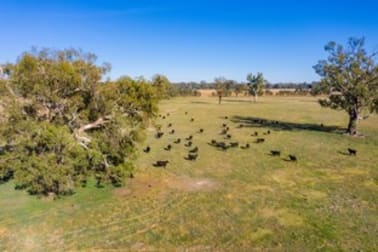 Mayfield 3859 Riverina Highway Bungowannah NSW 2640 - Image 3