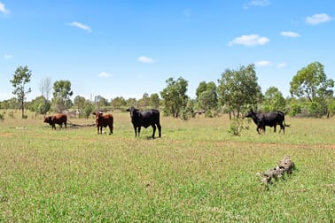 Glenmuir Middle Road St George QLD 4487 - Image 3