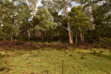Lot 5 Liena Rd Liena TAS 7304 - Image 2