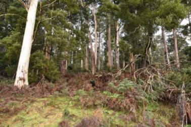 Lot 5 Liena Rd Liena TAS 7304 - Image 3