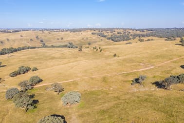 347 Sheridan Park Road Boorowa NSW 2586 - Image 1