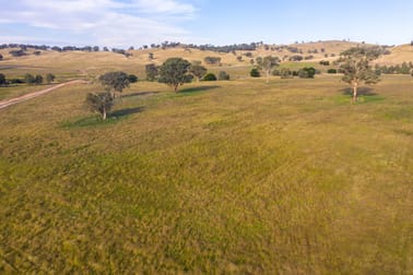 347 Sheridan Park Road Boorowa NSW 2586 - Image 2