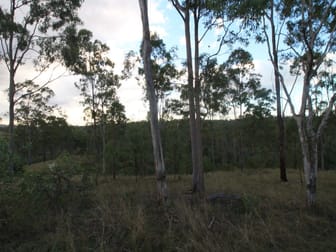 249 Stronachs Road Wallaville QLD 4671 - Image 3