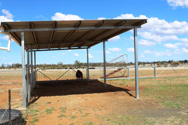 32 Daisybank Road Roma QLD 4455 - Image 3