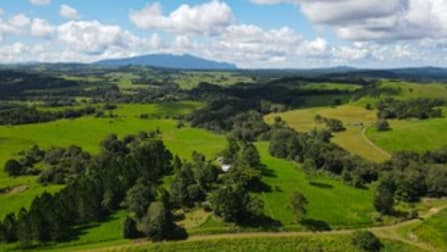 416 Hogan Road Tarzali QLD 4885 - Image 2