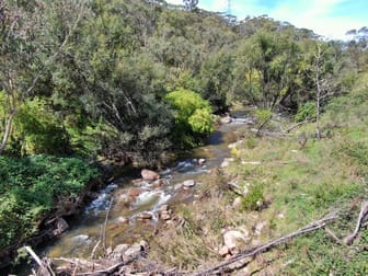 Sir Thomas Mitchell Reserve