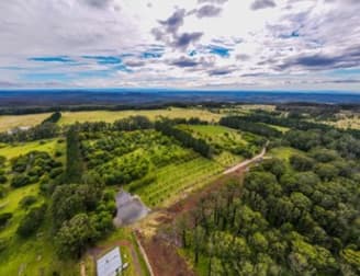 4281 Braidwood Road Sassafras NSW 2622 - Image 1