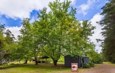 4281 Braidwood Road Sassafras NSW 2622 - Image 2