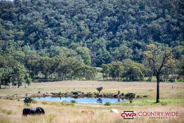 3081 Rocky Creek Road Rocky Creek NSW 2371 - Image 2