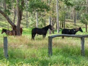 992 Wivenhoe Somerset Road Dundas QLD 4306 - Image 3