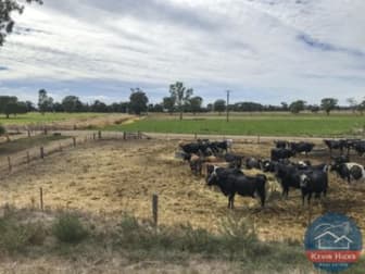 1169 Peppertree Lane Kyabram VIC 3620 - Image 2