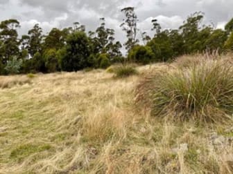 83 Kellys Cage Road Weegena TAS 7304 - Image 3