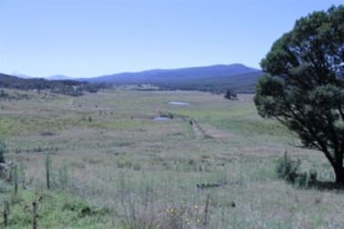 5 Silver Top Lane Braidwood NSW 2622 - Image 2