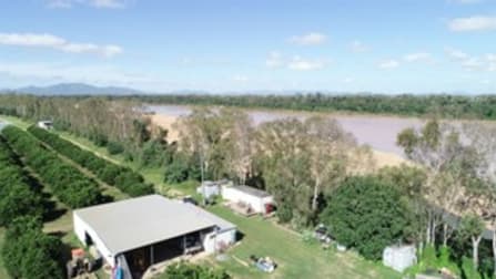 2608 Kirknie Road Home Hill QLD 4806 - Image 1