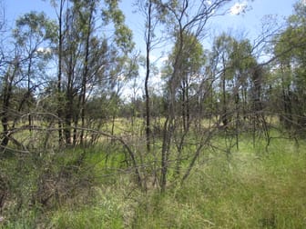 LOT 25 TARA KOGAN ROAD Tara QLD 4421 - Image 2