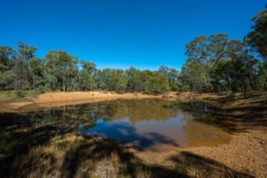 589 Patrick Road Dunedoo NSW 2844 - Image 1