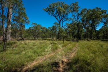 589 Patrick Road Dunedoo NSW 2844 - Image 2