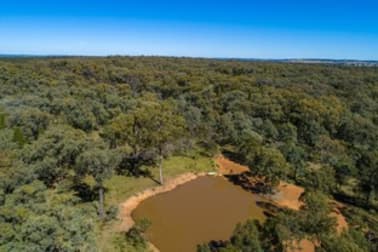 589 Patrick Road Dunedoo NSW 2844 - Image 3