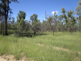 Lot 35 Tara Kogan Road Tara QLD 4421 - Image 2