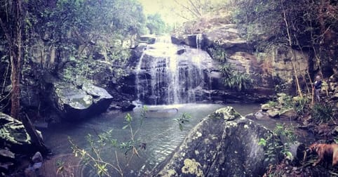Bandon Grove NSW 2420 - Image 2