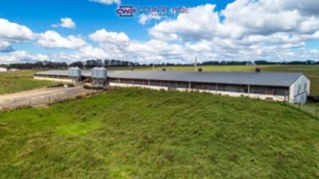 28 Whitmore Road Glen Innes NSW 2370 - Image 1