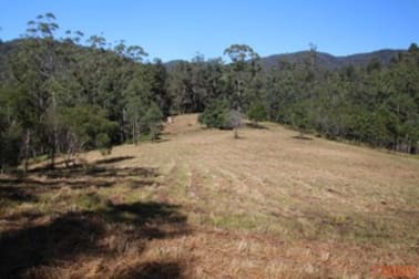 1380 Caparra Road Caparra NSW 2429 - Image 2