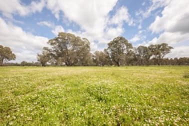 305 Rocky Castle Road Penola SA 5277 - Image 1