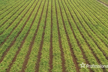 139 Paringi Road, Paringi Via Monak NSW 2738 - Image 1