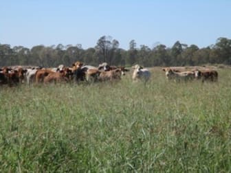 "GLENCOE" 1279 ACRES Chinchilla QLD 4413 - Image 1