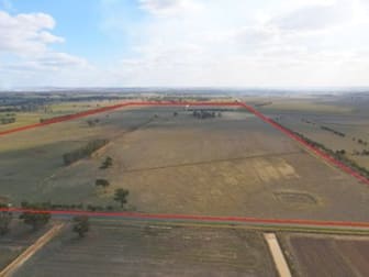 198 Geodetic Road, Stanhope & Morrissey Road Carag Carag VIC 3623 - Image 2
