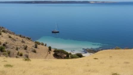 Lot 302 BUICK ROAD, KANGAROO HEAD Penneshaw SA 5222 - Image 3