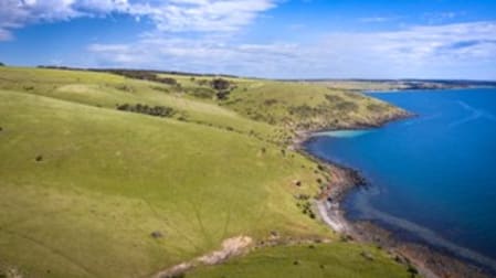 Lot 302 BUICK ROAD, KANGAROO HEAD Penneshaw SA 5222 - Image 1