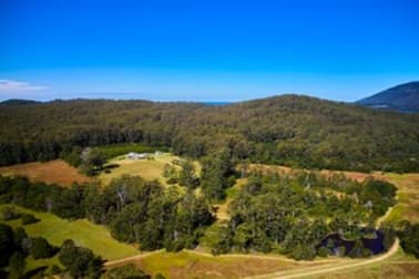 360 Bobs Creek Road Bobs Creek NSW 2439 - Image 3