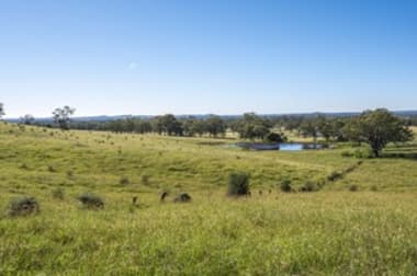 215 Biffins Lane Cawdor NSW 2570 - Image 3