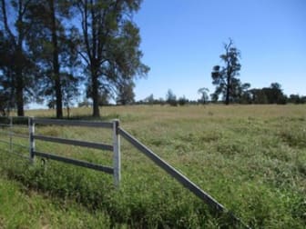 INVESTMENT OPPORTUNITY Chinchilla QLD 4413 - Image 3