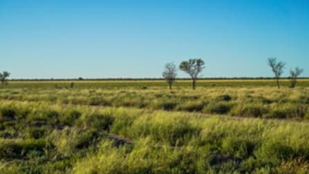8787 Cumborah Road Walgett NSW 2832 - Image 1