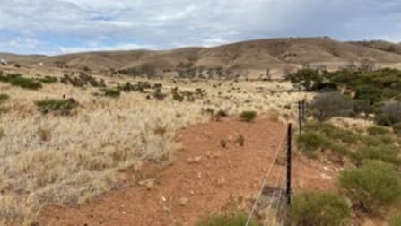 Lot 449 Pine Crest Road Cambrai SA 5353 - Image 1
